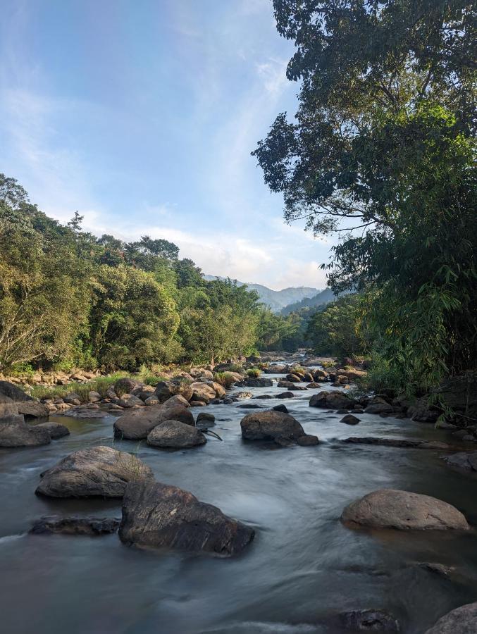 Ayursakthi Riverdale Munnar Luaran gambar