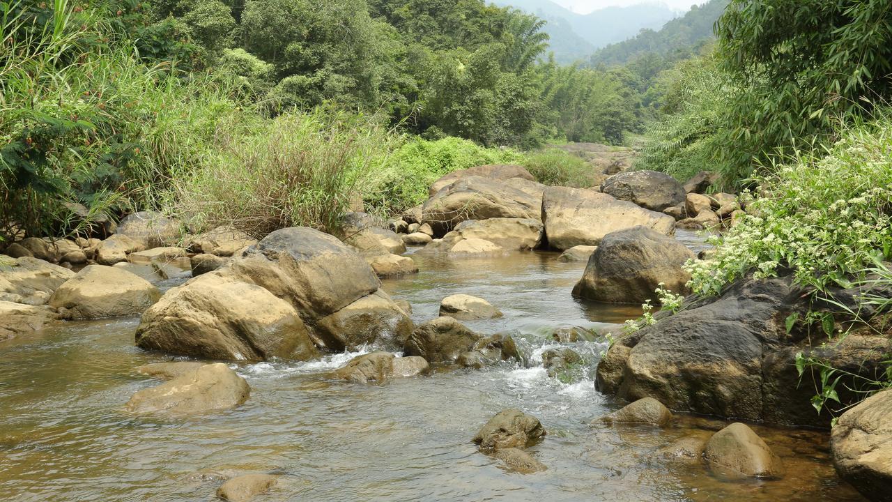 Ayursakthi Riverdale Munnar Luaran gambar